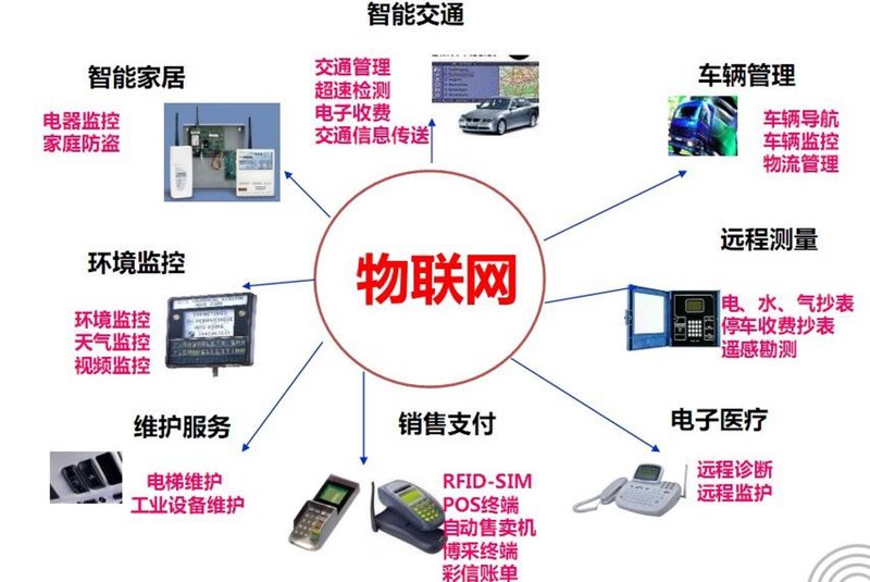 软件开发行业在厦门的崛起之路